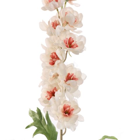 DELPHINIUM 89CM CREAM PINK