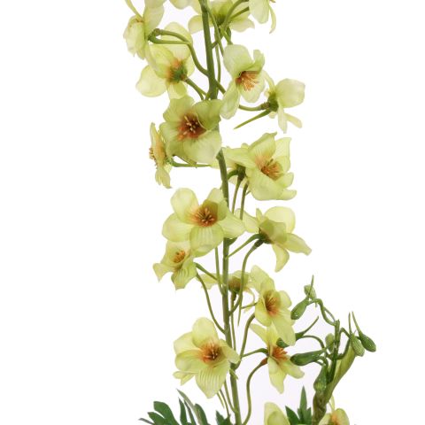 DELPHINIUM 80CM GREEN