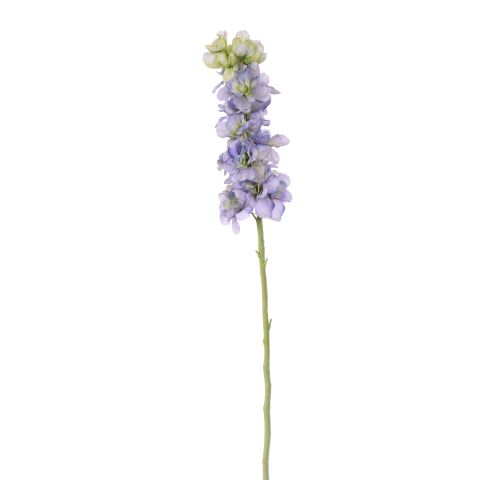 40160051-bl.jpg
