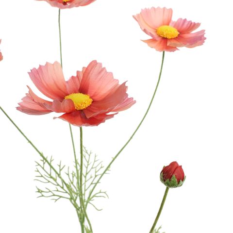 COSMOS 92CM MAUVE