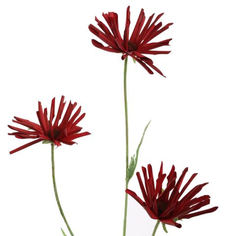 RUDBECKIA 66CM RED