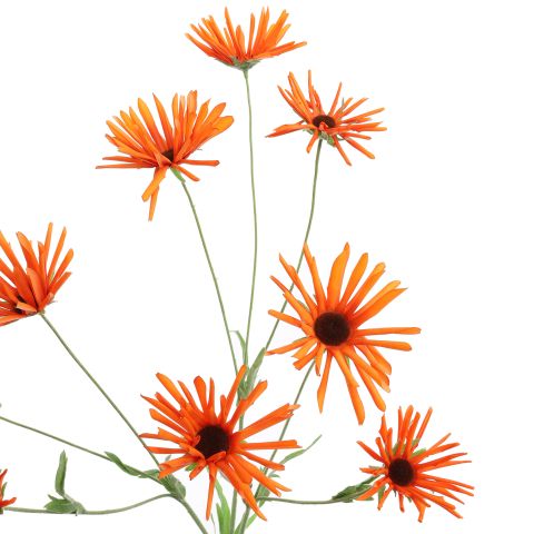 RUDBECKIA 95CM ORANGE