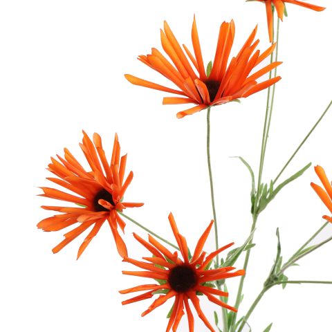 RUDBECKIA 95CM ORANGE
