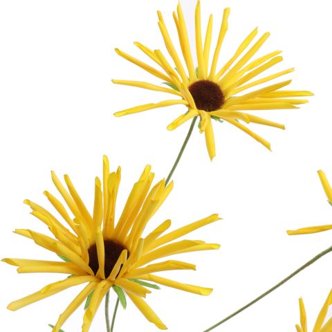 RUDBECKIA 95CM YELLOW