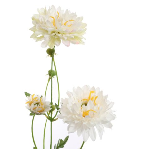 GERBERA SPRAY 66CM CREAM