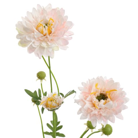 GERBERA SPRAY 66CM PINK