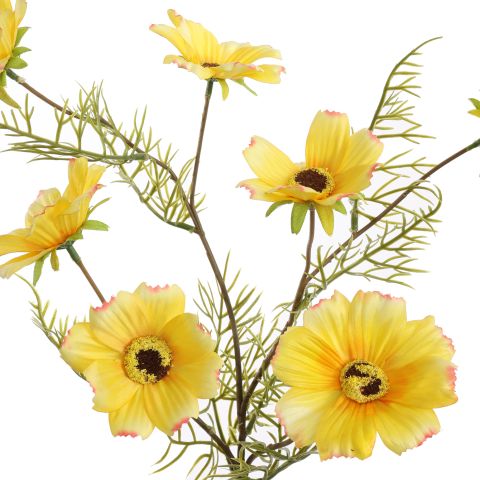 COSMOS SPRAY 75CM YELLOW