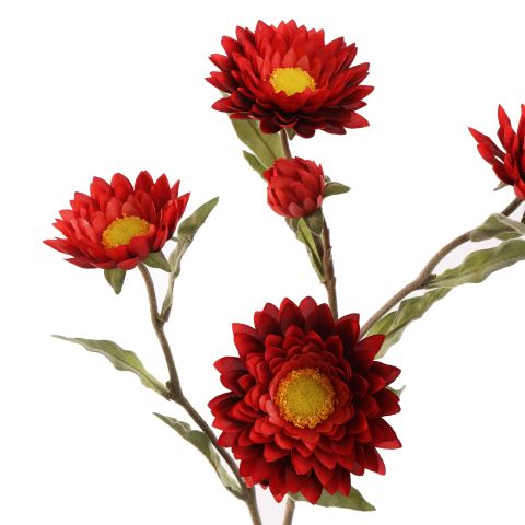 STRAW FLOWER 65CM RED