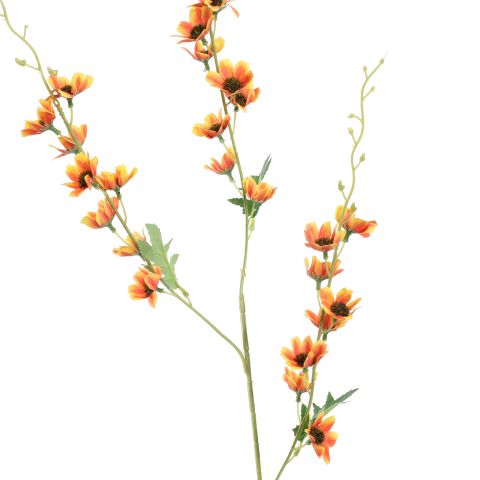 LONG COSMOS 105CM ORANGE