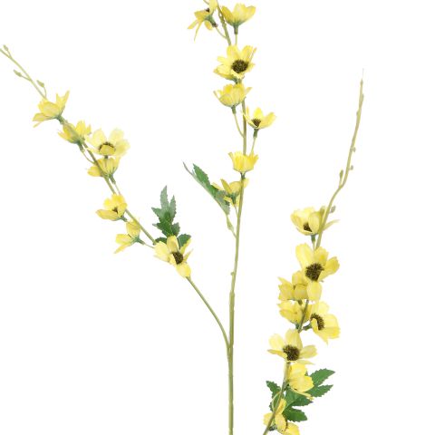 LONG COSMOS 105CM YELLOW