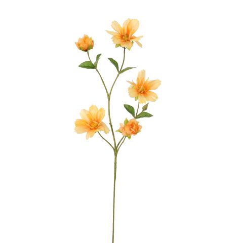 40170055-or.jpg