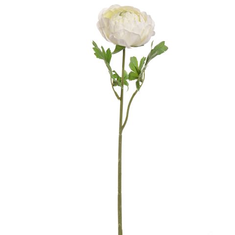40180008-cr_0.jpeg