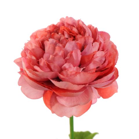RANUNCULUS 62CM PINK