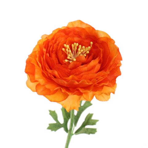 RANUNCULUS 65CM ORANGE