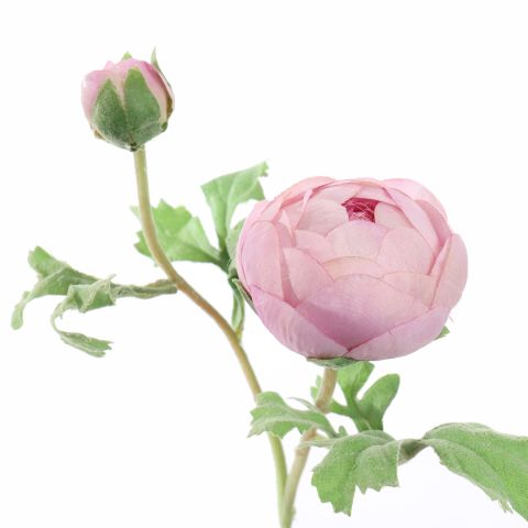 RANUNCULUS X2 56CM LILA