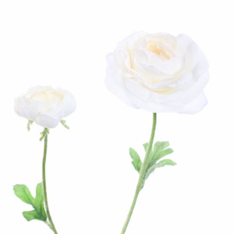 RANUNCULUS X 2 64CM CREAM