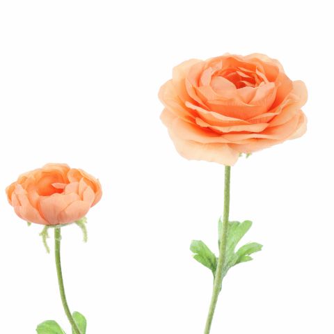 RANUNCULUS X 2 64CM PEACH