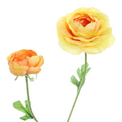 RANUNCULUS X 2 64CM YELLOW