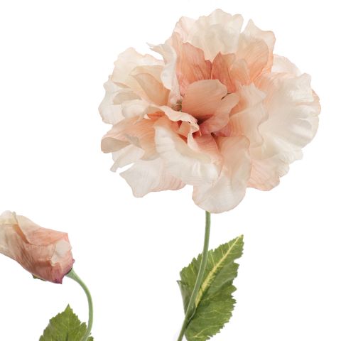 POPPY 75CM BEIGE