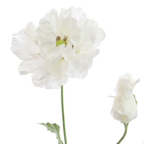 POPPY 75CM CREAM