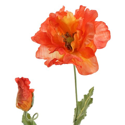 POPPY 75CM ORANGE