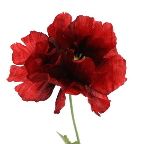 POPPY 75CM RED