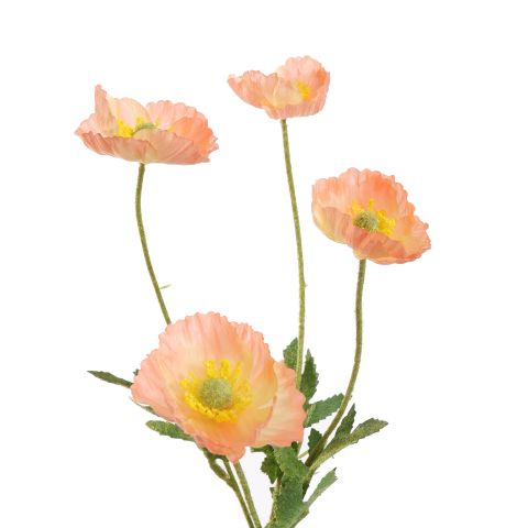 POPPY 60CM PEACH