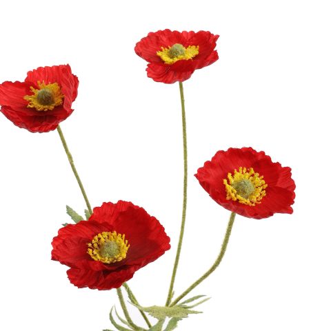 POPPY 60CM RED