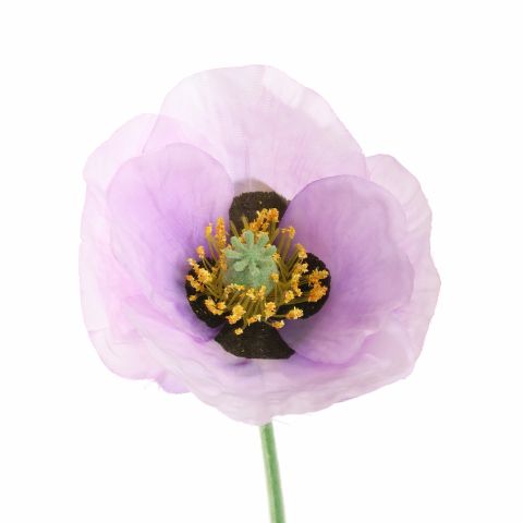 SINGLE POPPY 37CM LAVENDER