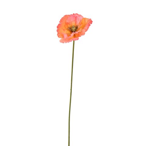 40190021-sa.jpg