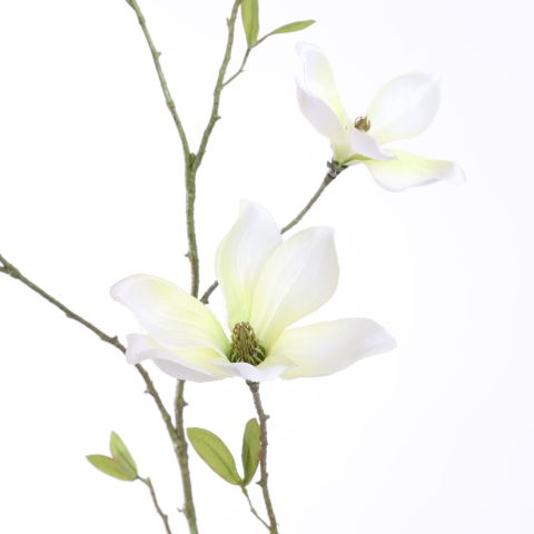 MAGNOLIA SPRAY 110CM CREAM