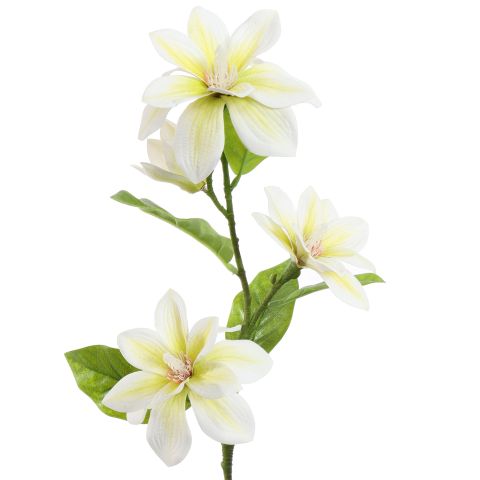 SMALL MAGNOLIA 75CM CREAM