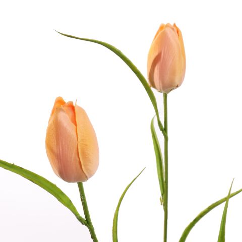 TULIP SPRAY 60CM PEACH