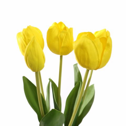 TULIP X5 BUNDLE 48CM YELLOW