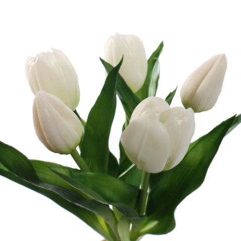 TULIP X5 BUNDLE 30CM CREAM
