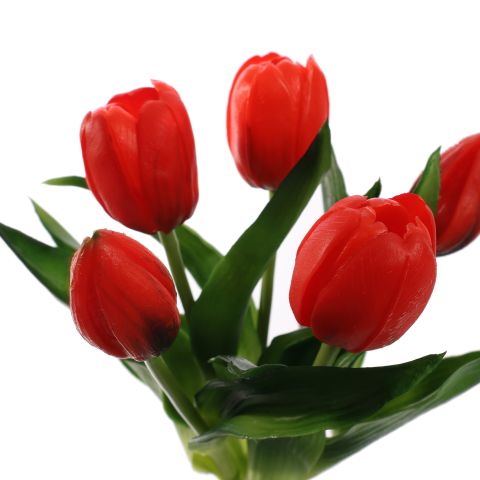 TULIP X5 BUNDLE 30CM RED