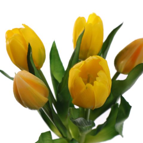 TULIP X5 BUNDLE 30CM YELLOW