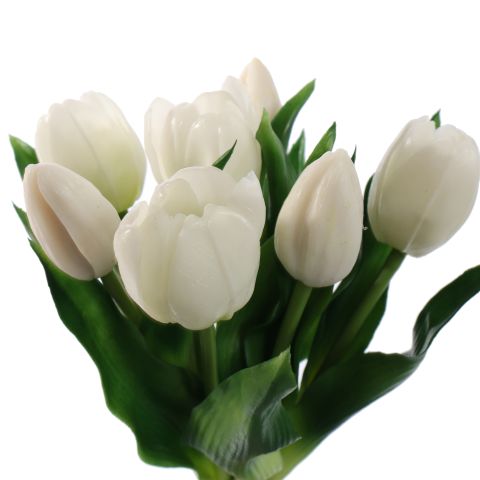 TULIP X7 BUNDLE 30CM CREAM
