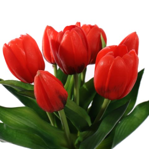 TULIP X7 BUNDLE 30CM RED