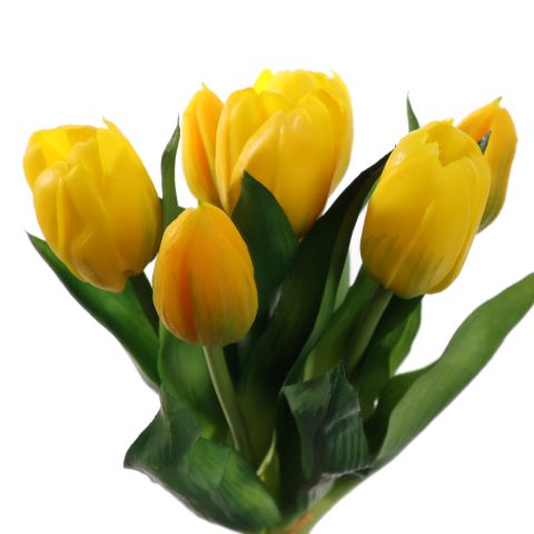TULIP X7 BUNDLE 30CM YELLOW