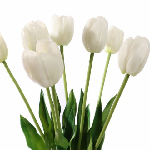 TULIP X7 BUNDLE 40CM CREAM