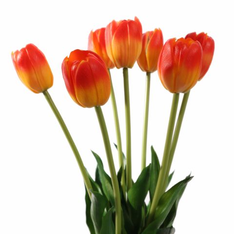 TULIP X7 BUNDLE 40CM ORANGE