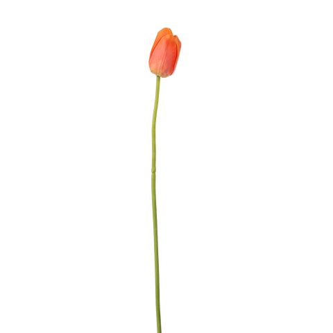 40210028-or.jpg