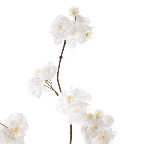 MEDIUM BLOSSOM 86CM CREAM