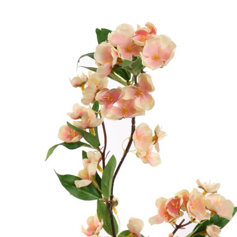CHERRY BLOSSOM 75CM PEACH
