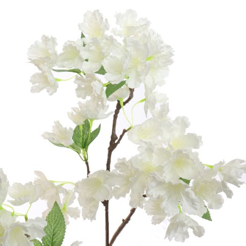 BLOSSOM 80CM CREAM