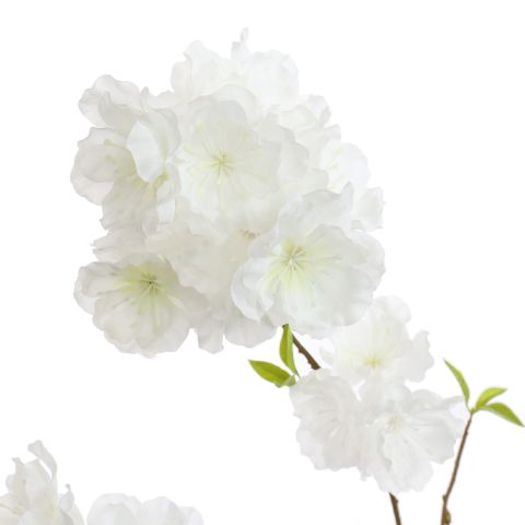 PEACH BLOSSOM 78CM CREAM