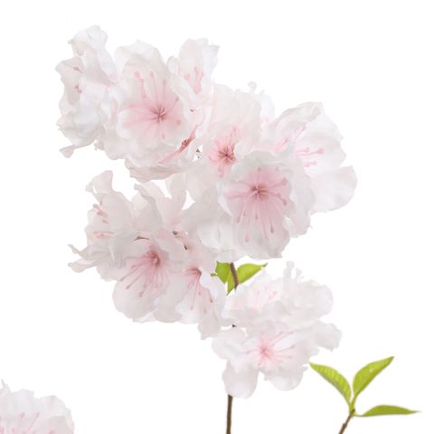 PEACH BLOSSOM 78CM CREAM PINK