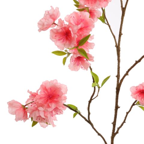 LARGE PEACH BLOSSOM 115CM BEAUTY