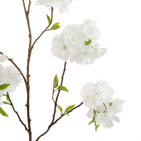 LARGE PEACH BLOSSOM 115CM CREAM